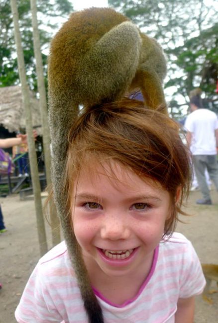 Monkeys aren't shy in Colombia's Amazon region.