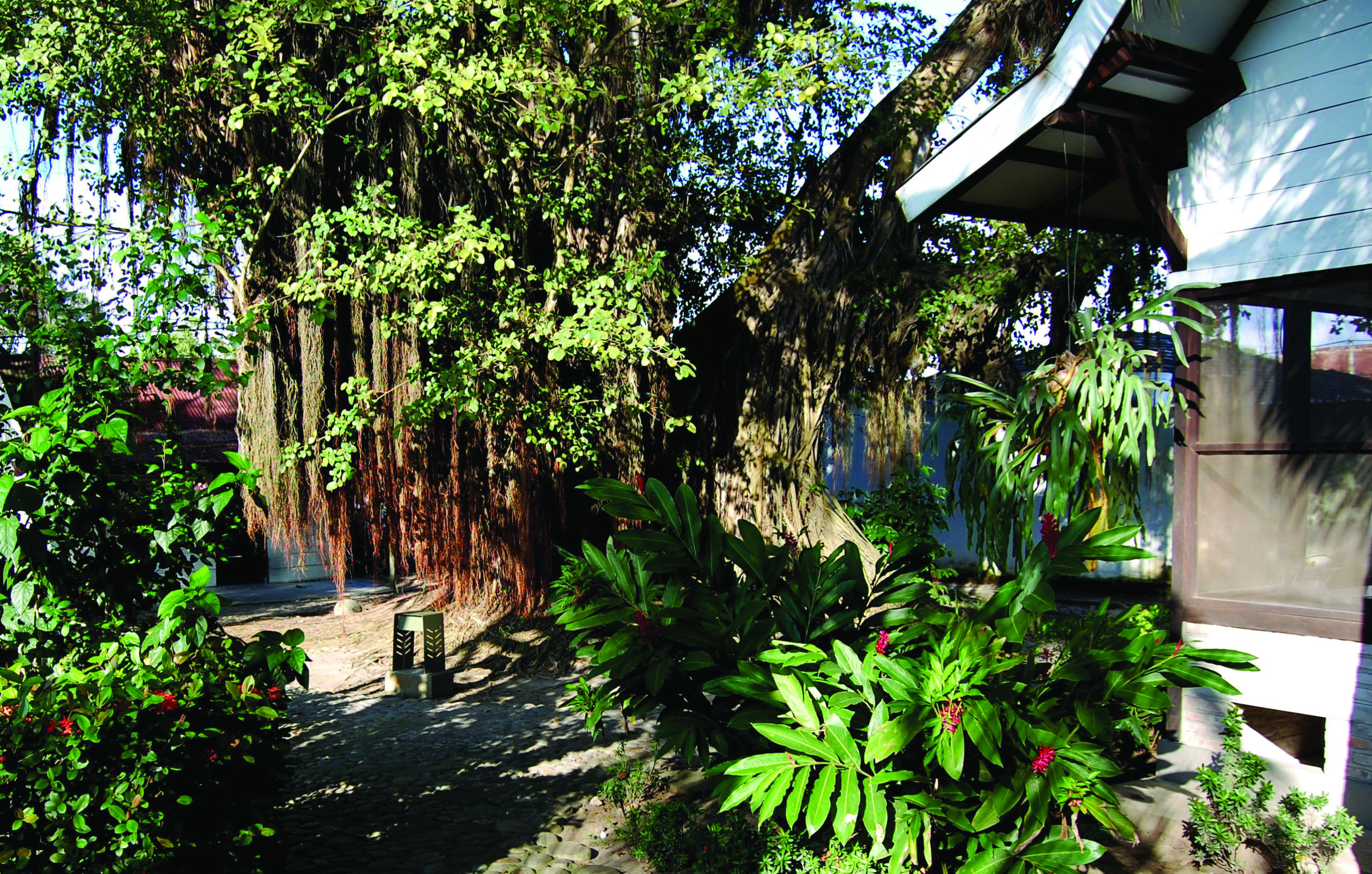 Aracataca