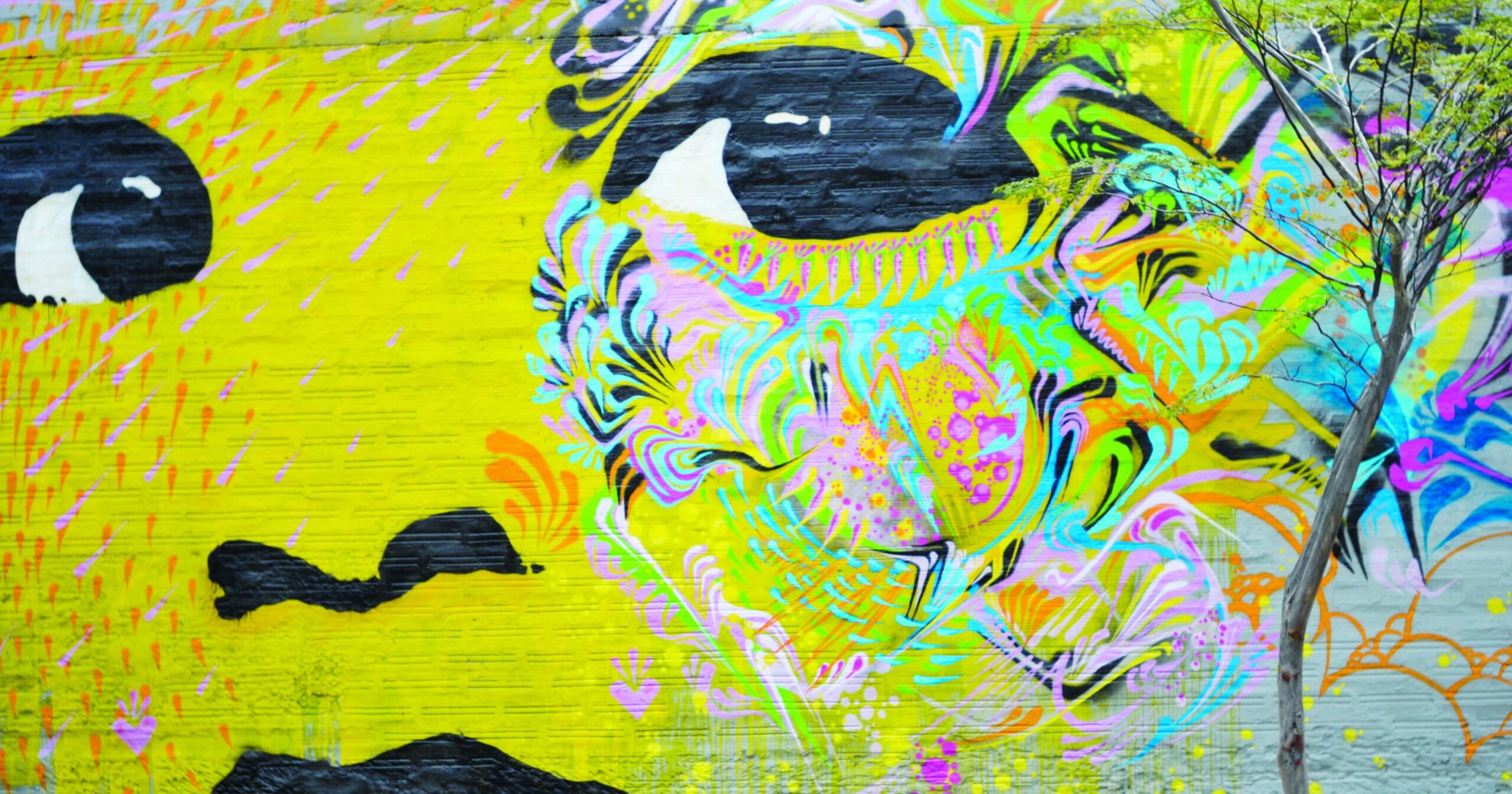 Graffiti in Medellín