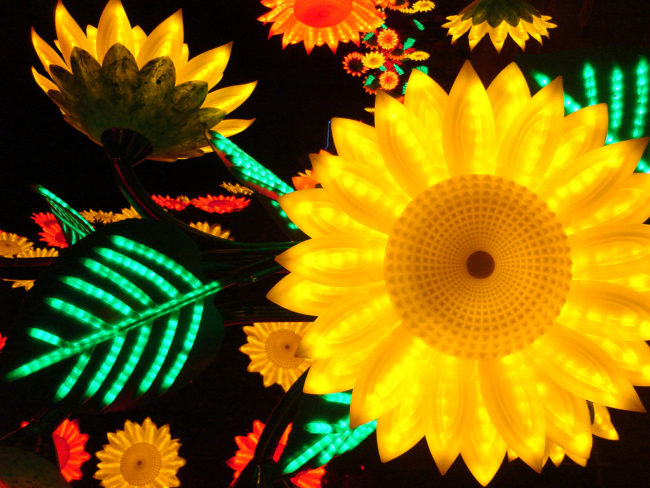 Christmas in Bogotá