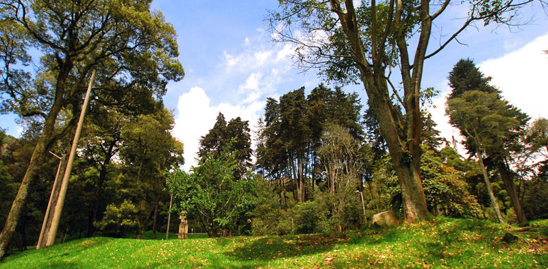 Parque Nacional by Mario Carvajal