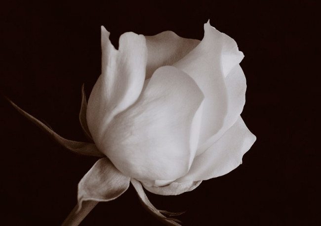 It's always nice to get advice on how to deal with cross-cultural dating.