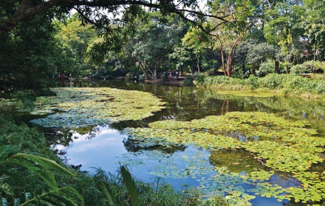 The Botanical Gardens of Medellin are a peaceful green space in the modern metropolis.