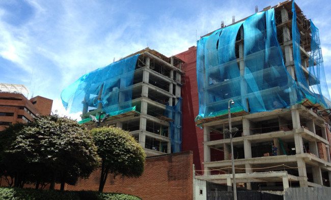 Bogota's trees are under threat from construction and harsh winters.