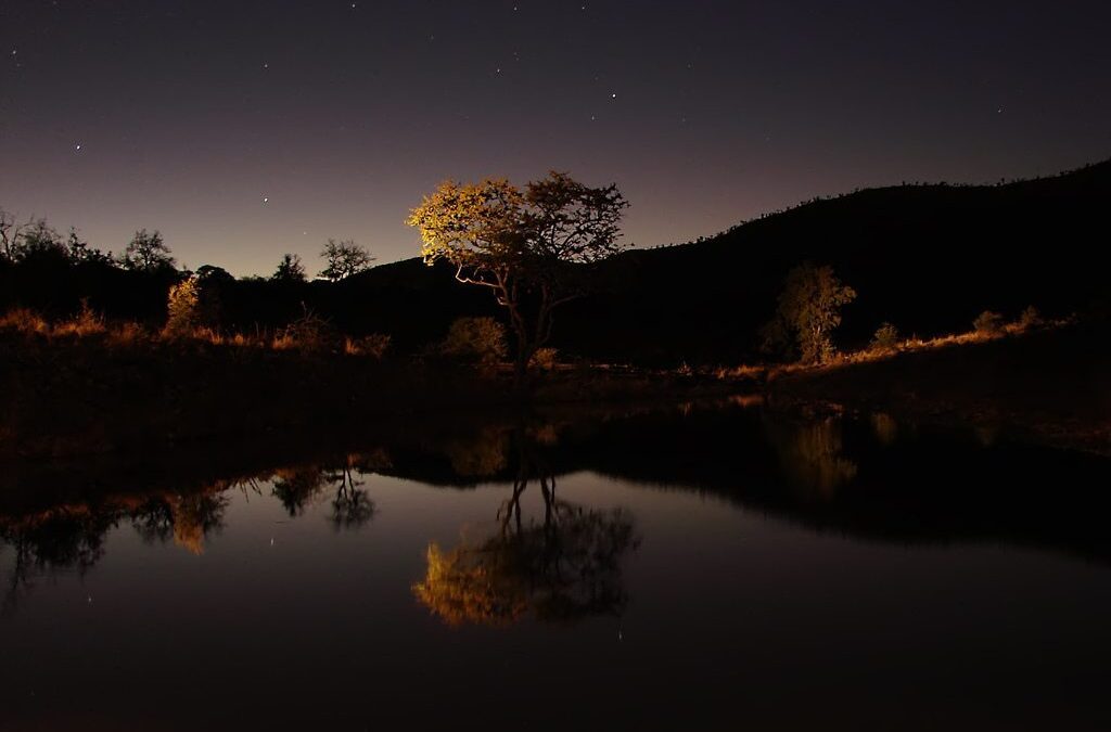 South African night