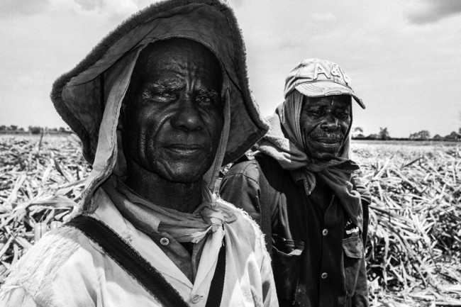 The sugar cane industry employs migrant workers known as 'corteros'.