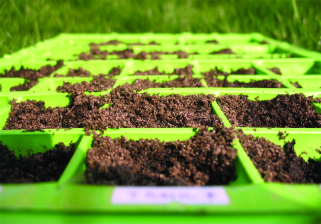 Green initiatives are highlighted during La Feria Ambiental.