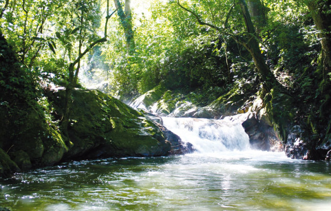 Waterfalls along a trail near Minca, Colombia.