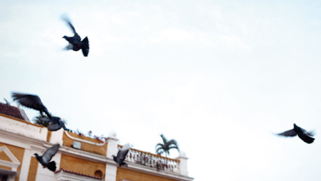 The peace process in Havana gains momentum with a second accord reached.