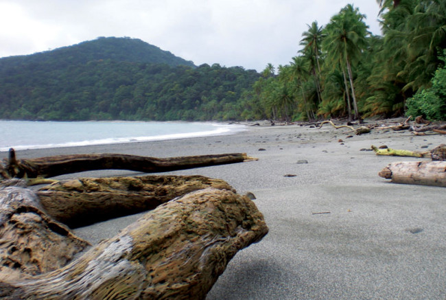 View of the grey beaches of Gorgona island.