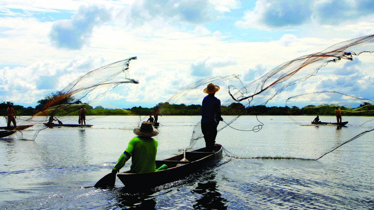 Fishermen cast their nets near Barrancabermeja, Santander.