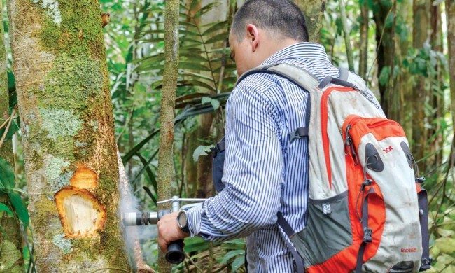 Henry Arellano measures carbon in tropical forests