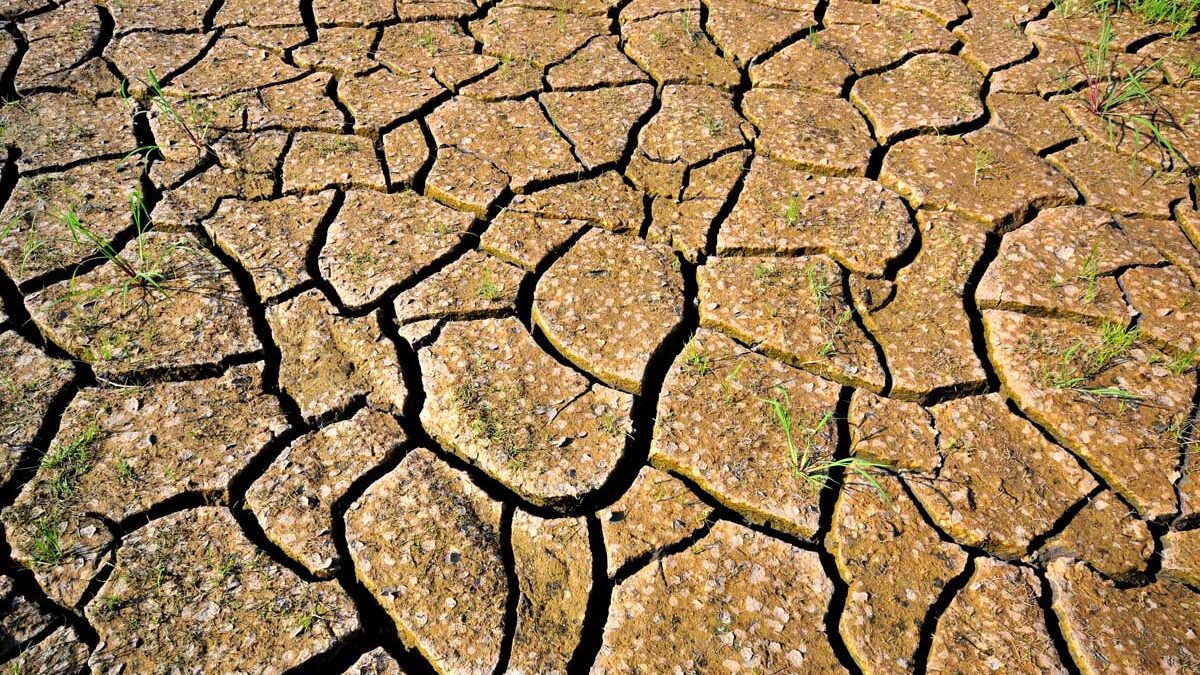 Drought conditions outside of Cali, Colombia by Neil Palmer (CIAT)