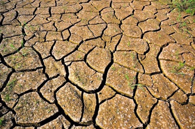 Drought conditions outside of Cali, Colombia by Neil Palmer (CIAT)