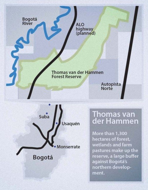 Thomas van der Hammen