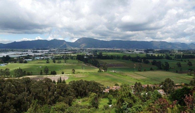 Thomas van der Hammen