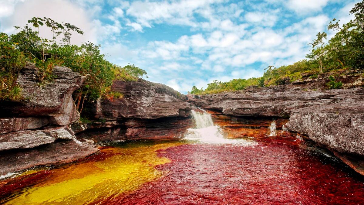 Caño Cristales