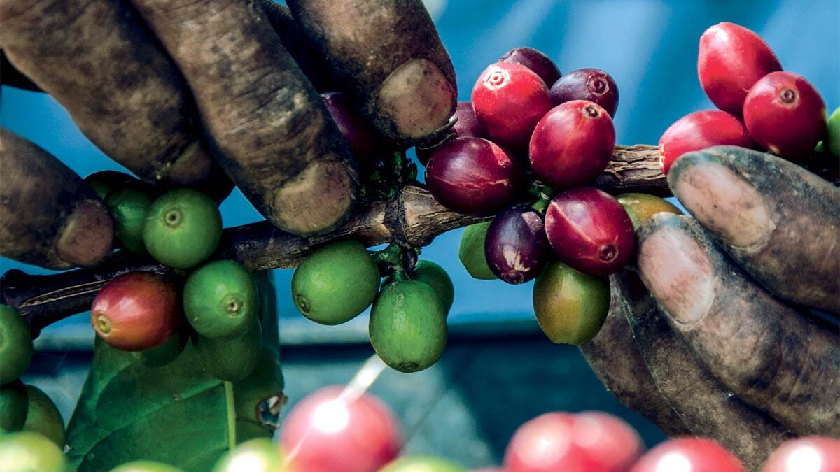 Colombian coffee culture is more about the experience than the drink.