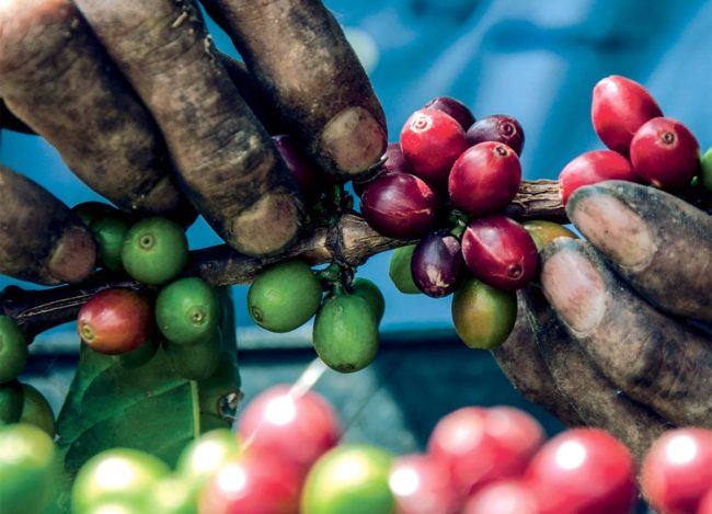 Colombian coffee culture is more about the experience than the drink.