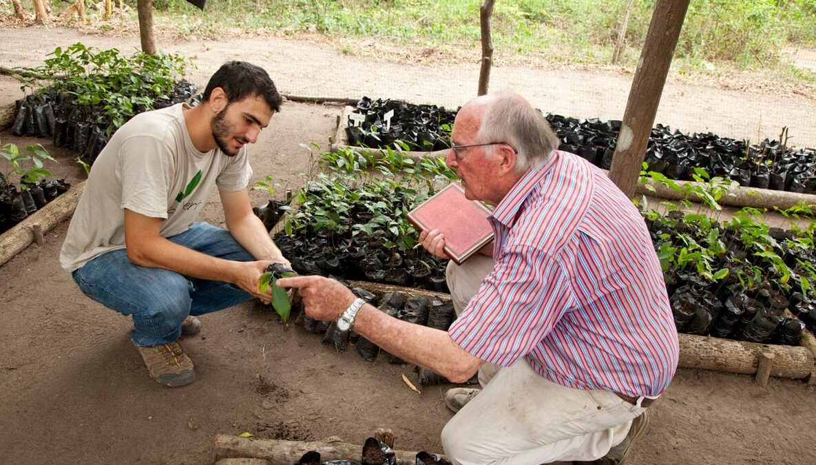 Envol-vert works to plant trees in Colombian regions hard hit by deforestation.
