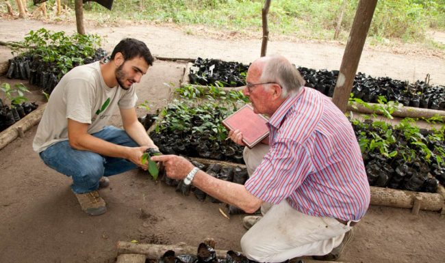 Envol-vert works to plant trees in Colombian regions hard hit by deforestation.
