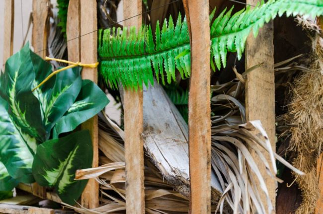 Traducción, an exhibition by Vasco Araújo at FLORA ars+natura in Bogotá