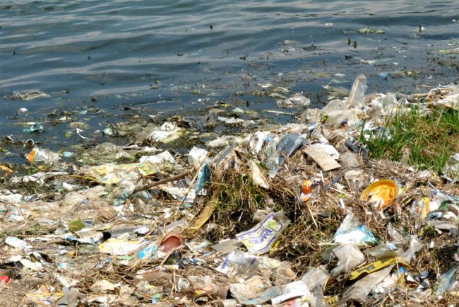 Trash lines the banks of the Bogotá River.