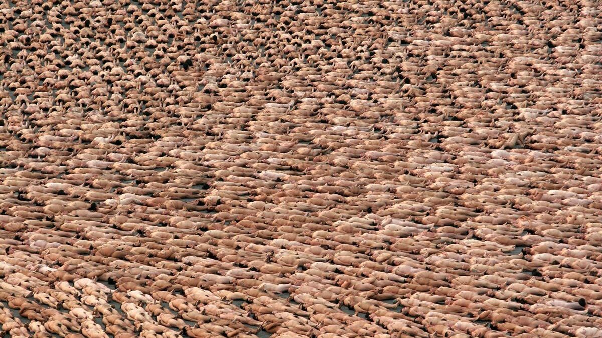 Artist Spencer Tunick photographs hundreds and even thousands of nude subjects for projects around the world.