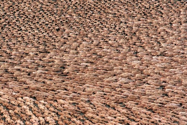 Artist Spencer Tunick photographs hundreds and even thousands of nude subjects for projects around the world.