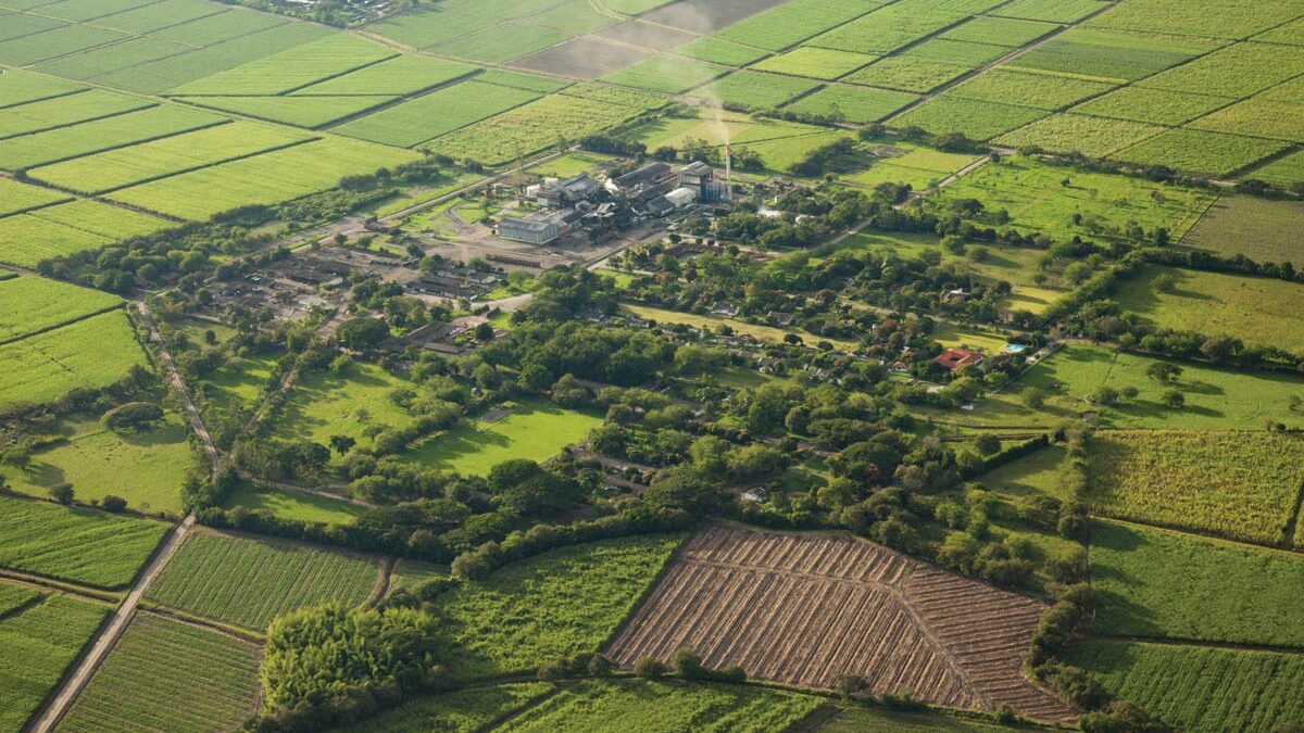 Agriculture in Colombia's Valle del Cauca