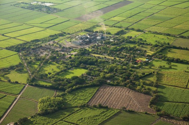 Agriculture in Colombia's Valle del Cauca