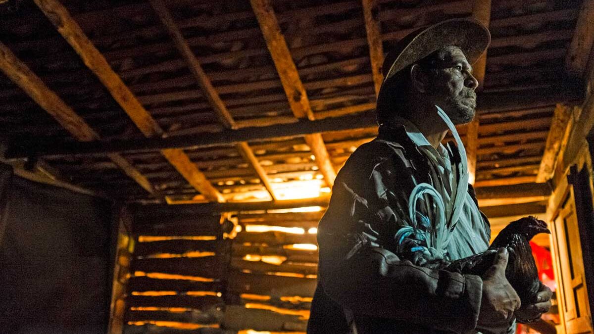 Actor Juan Gabriel Mesa stands with a rooster during the shooting of a short film in Carmen de Viboral. (Photo by Esteban Valencia)