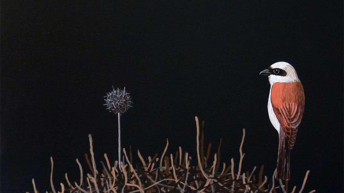 Julian Villafane - The Visitors Series