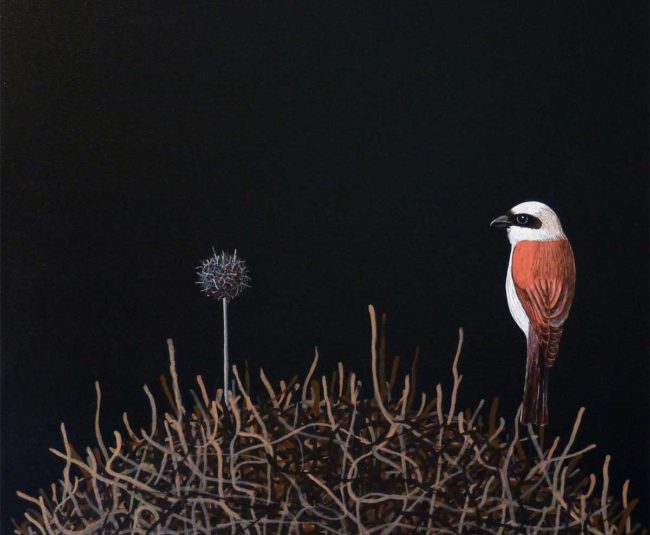 Julian Villafane - The Visitors Series