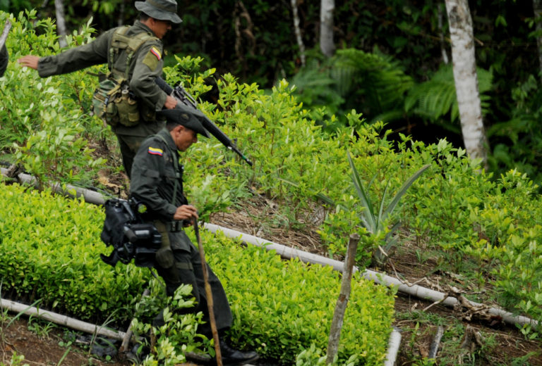 U.S. anti-narcotics agencies to press Colombia on illicit coca cultivations