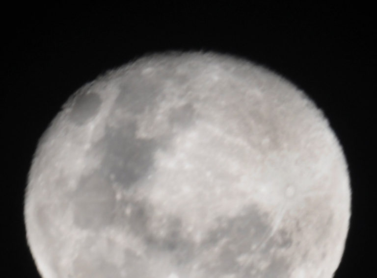 A letter to Roger Waters from this side of the Moon