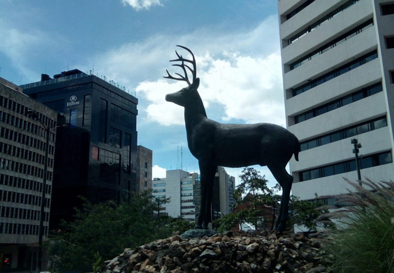 Walking Bogotá’s Avenida Chile: Banks, booklets and brunches