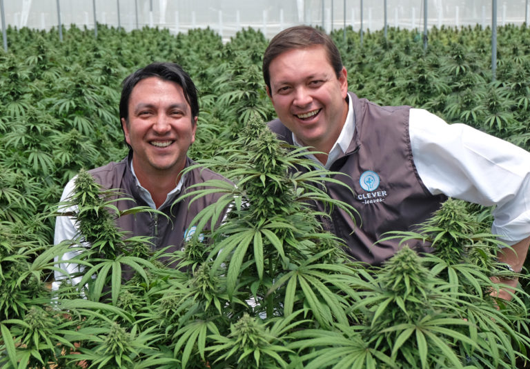 Clever Leaves and the intelligent business of medicinal cannabis from Colombia