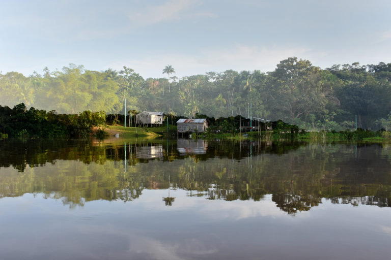Big Picture: Reflection of the Amazon backwaters