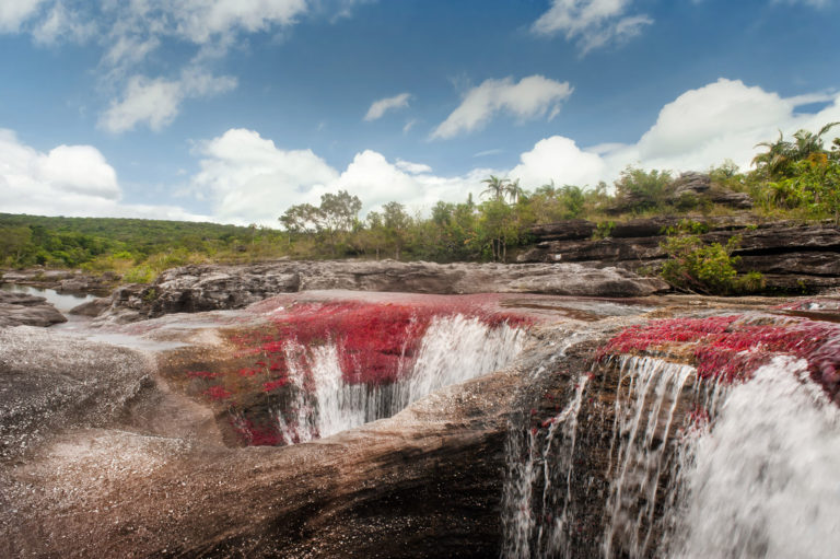 Colombia’s Caño Cristales reopens to tourism after six month closure