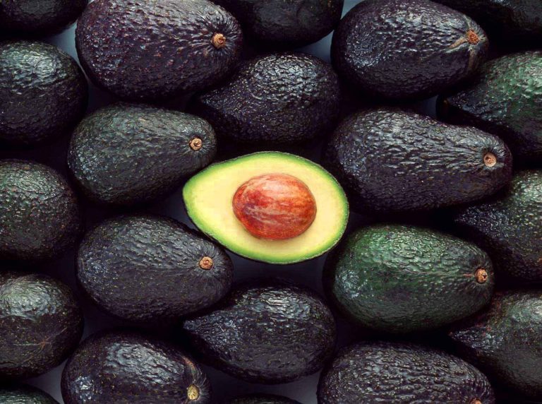 Colombian Hass avocados reach record exports in 2020