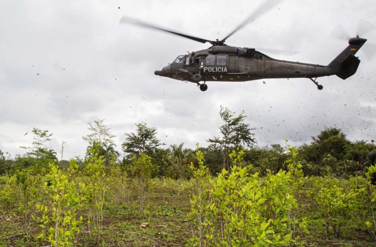 Colombia’s coca growing areas reduce third year in a row, claims UNODC report