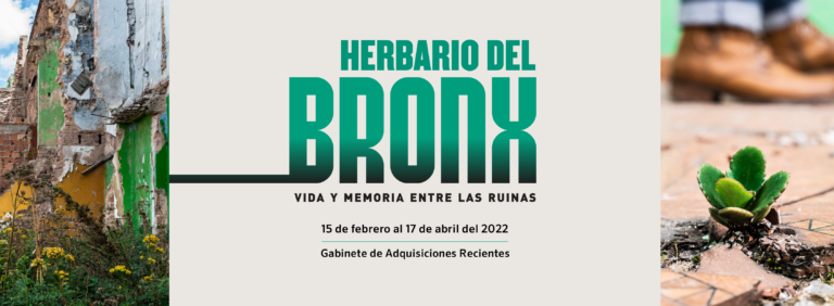 Herbarium of the Bronx