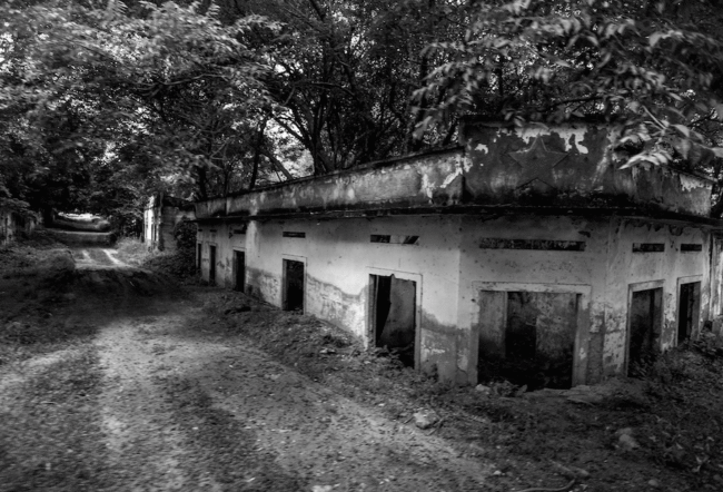 A Landscape of Loss: Forty Years After Armero