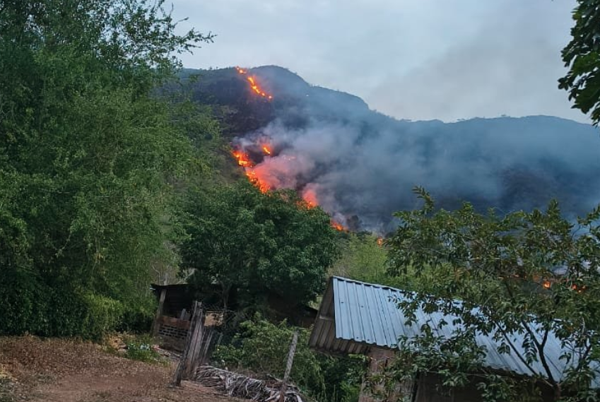 Wildfires Consume 30,000 Hectares Across Tolima, Criminal Groups Suspected